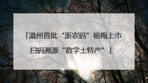 温州首批“浙农码”杨梅上市 扫码溯源“数字土特产”