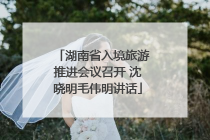湖南省入境旅游推进会议召开 沈晓明毛伟明讲话