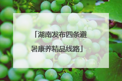 湖南发布四条避暑康养精品线路