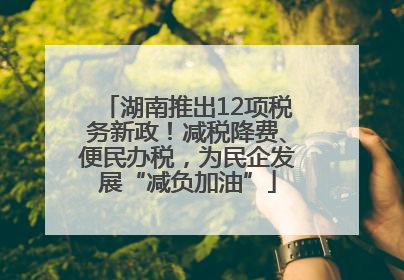 湖南推出12项税务新政！减税降费、便民办税，为民企发展“减负加油”