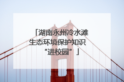 湖南永州冷水滩生态环境保护知识“进校园”