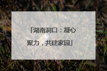 湖南洞口：凝心聚力，共建家园