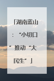 湖南蓝山：“小切口”推动“大民生”