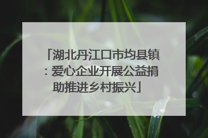 湖北丹江口市均县镇：爱心企业开展公益捐助推进乡村振兴