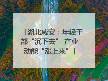 湖北咸安：年轻干部“沉下去” 产业动能“涨上来”