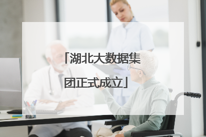 湖北大数据集团正式成立