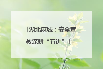 湖北麻城：安全宣教深耕“五进”