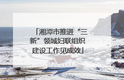 湘潭市推进“三新”领域妇联组织建设工作见成效