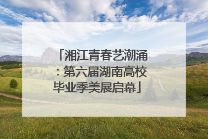 湘江青春艺潮涌：第六届湖南高校毕业季美展启幕