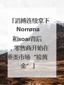 滔搏连续拿下Norrøna和soar背后，零售商开始在垂类市场“捡黄金”