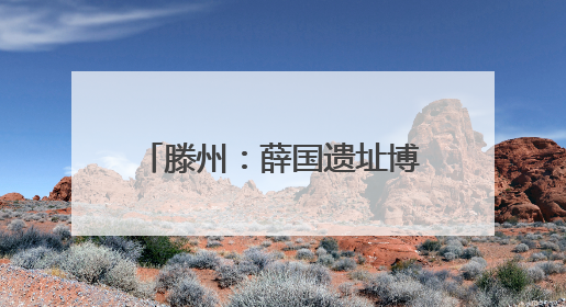 滕州：薛国遗址博物馆文物征集公告