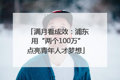满月看成效：浦东用“两个100万”点亮青年人才梦想