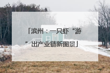 滨州：一只虾“游”出产业链新图景