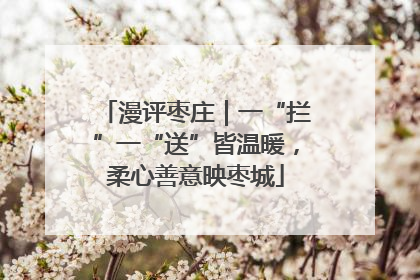 漫评枣庄｜一“拦”一“送”皆温暖，柔心善意映枣城