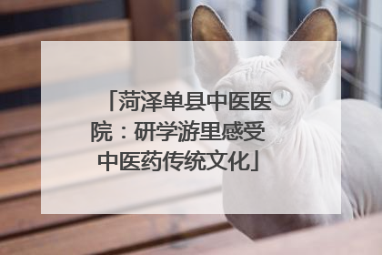菏泽单县中医医院：研学游里感受中医药传统文化