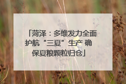 菏泽：多维发力全面护航“三夏”生产 确保夏粮颗粒归仓