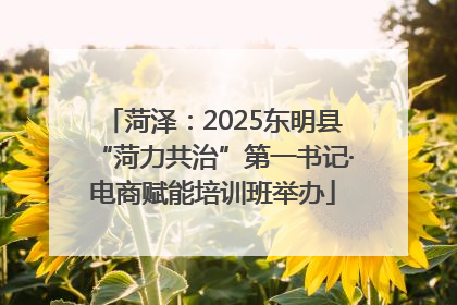 菏泽：2025东明县“菏力共治”第一书记·电商赋能培训班举办