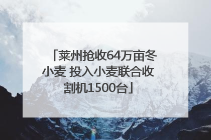 莱州抢收64万亩冬小麦 投入小麦联合收割机1500台