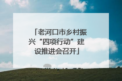 老河口市乡村振兴“四项行动”建设推进会召开