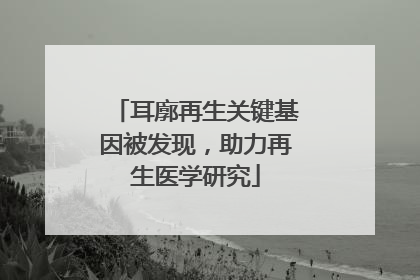 耳廓再生关键基因被发现，助力再生医学研究