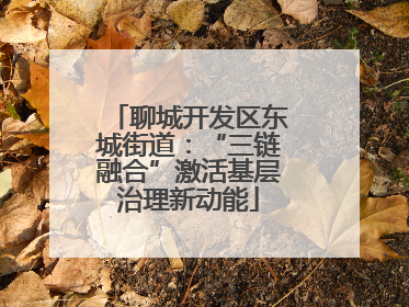 聊城开发区东城街道：“三链融合”激活基层治理新动能