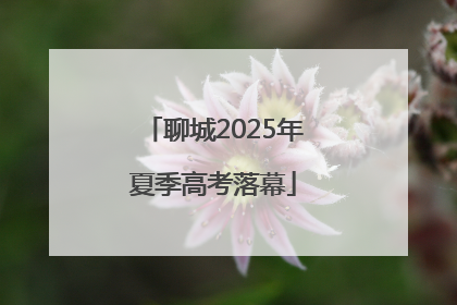 聊城2025年夏季高考落幕