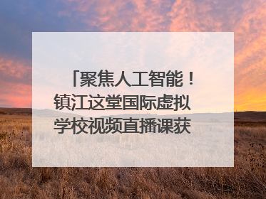 聚焦人工智能！镇江这堂国际虚拟学校视频直播课获韩美伙伴点赞