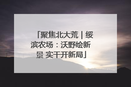 聚焦北大荒｜绥滨农场：沃野绘新景 实干开新局