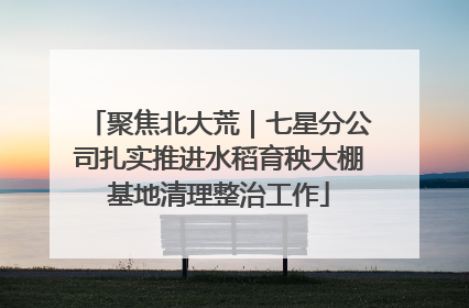 聚焦北大荒｜七星分公司扎实推进水稻育秧大棚基地清理整治工作