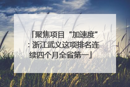 聚焦项目“加速度”：浙江武义这项排名连续四个月全省第一