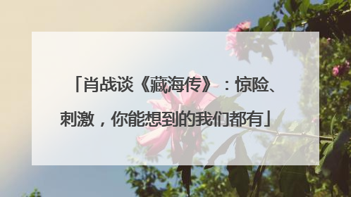 肖战谈《藏海传》：惊险、刺激，你能想到的我们都有