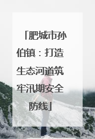 肥城市孙伯镇：打造生态河道筑牢汛期安全防线
