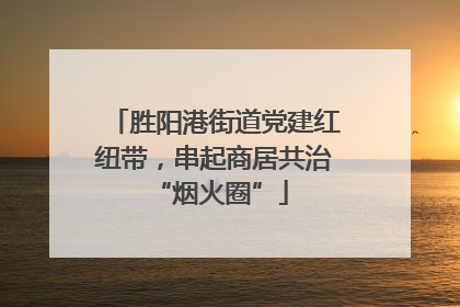 胜阳港街道党建红纽带，串起商居共治 “烟火圈”