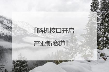 脑机接口开启产业新赛道