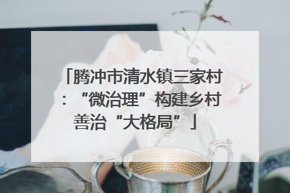 腾冲市清水镇三家村：“微治理”构建乡村善治“大格局”