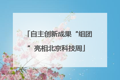 自主创新成果“组团”亮相北京科技周