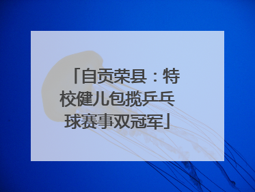 自贡荣县：特校健儿包揽乒乓球赛事双冠军