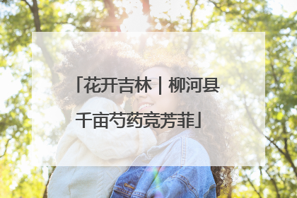 花开吉林｜柳河县千亩芍药竞芳菲