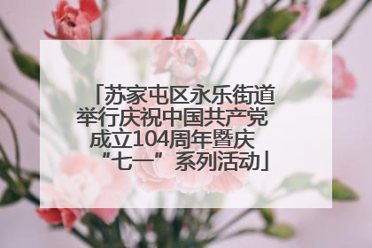 苏家屯区永乐街道举行庆祝中国共产党成立104周年暨庆“七一”系列活动