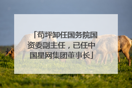苟坪卸任国务院国资委副主任，已任中国星网集团董事长