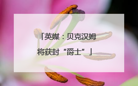 英媒：贝克汉姆将获封“爵士”