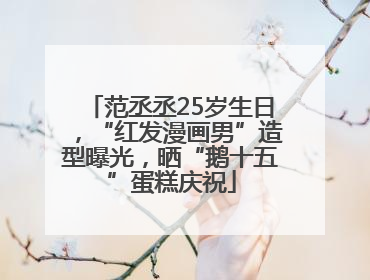 范丞丞25岁生日，“红发漫画男”造型曝光，晒“鹅十五”蛋糕庆祝