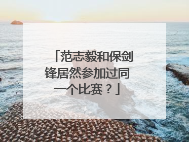 范志毅和保剑锋居然参加过同一个比赛？