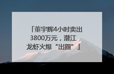 董宇辉4小时卖出3800万元，潜江龙虾火爆“出圈”