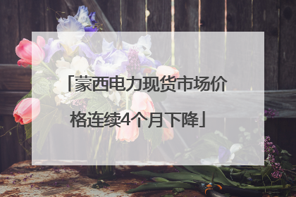 蒙西电力现货市场价格连续4个月下降