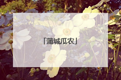 蒲城瓜农