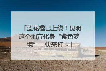 蓝花楹已上线！昆明这个地方化身“紫色梦境”，快来打卡