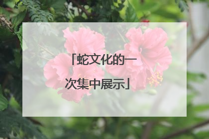 蛇文化的一次集中展示