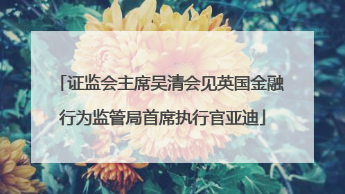 证监会主席吴清会见英国金融行为监管局首席执行官亚迪