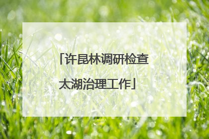 许昆林调研检查太湖治理工作